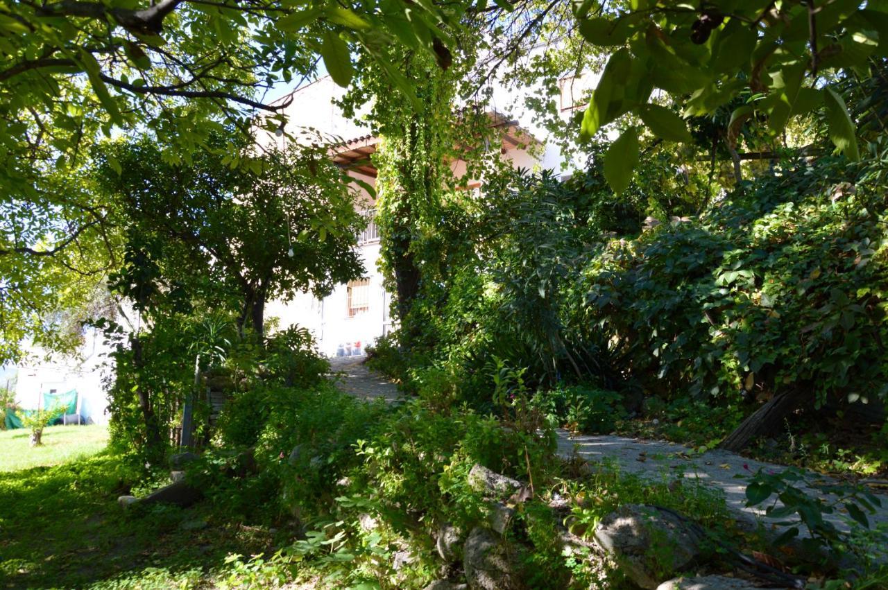 Ecoalbergue Rural De Альгодоналес Экстерьер фото